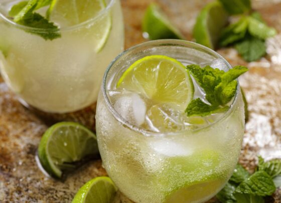 Non-Alcoholic Lime Rickey